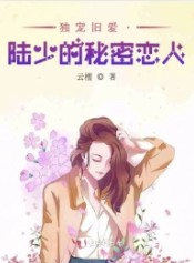 独宠旧爱·陆少的秘密恋人章节目录